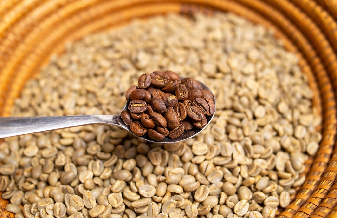 Freshly roasted and green coffee beans shown together.